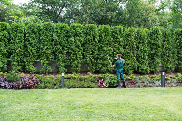 Best Weed Control  in Stanton, TX