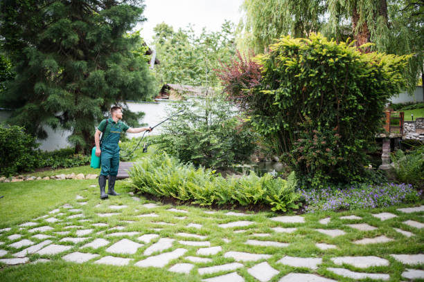 Professional Tree Services in Stanton, TX