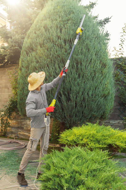 Best Landscape Design and Installation  in Stanton, TX